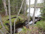 Culvert Crossing, Baileyville, Maine