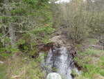 Culvert Crossing, Ulmer Brook, Princeton, Maine