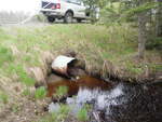 Culvert Crossing, Ulmer Brook, Princeton, Maine