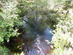 Culvert Crossing, Greenlaw Chopping Twp, Maine