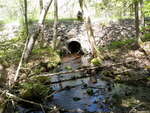 Culvert Crossing, Grand Lake Stream Plt, Maine