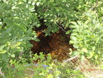 Multiple Culvert Crossing, Sakom Twp, Maine