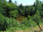 Culvert Crossing, Perry, Maine