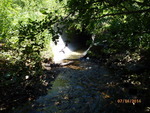 Culvert Crossing, Perry, Maine