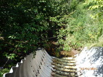 Culvert Crossing, Perry, Maine