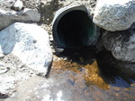 Culvert Crossing, Grand Lake Stream Plt, Maine