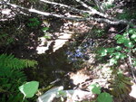 Culvert Crossing, Lambert Lake Twp, Maine