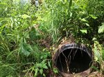 Culvert Crossing, Jay, Maine