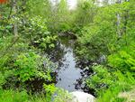 Culvert Crossing, Fayette, Maine