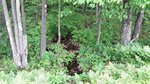 Culvert Crossing, Auburn, Maine