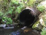 Culvert Crossing, Livermore, Maine