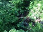 Culvert Crossing, Livermore, Maine