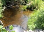 Culvert Crossing, Livermore Falls, Maine