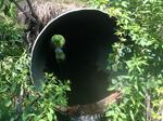 Culvert Crossing, Livermore Falls, Maine