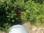Culvert Crossing, Livermore Falls, Maine