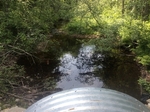 Culvert Crossing, Turner, Maine