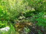 Culvert Crossing, Monmouth, Maine