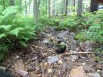 Culvert Crossing, Mason Twp, Maine