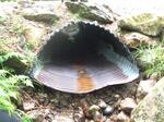 Culvert Crossing, Mason Twp, Maine
