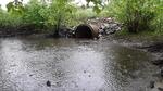 Culvert Crossing, Leeds, Maine