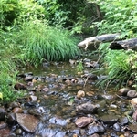 Culvert Crossing, Jay, Maine