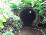 Culvert Crossing, Wayne, Maine