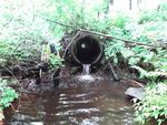 Culvert Crossing, Wayne, Maine