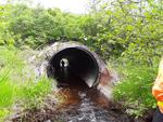 Culvert Crossing, Leeds, Maine