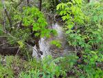 Culvert Crossing, Greene, Maine