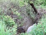 Culvert Crossing, Greene, Maine