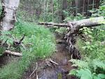 Multiple Culvert Crossing, Van Buren, Maine