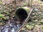Culvert Crossing, Wilton, Maine