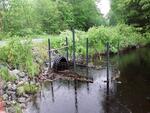 Culvert Crossing, Wayne, Maine