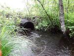 Culvert Crossing, Wayne, Maine