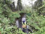 Culvert Crossing, Wayne, Maine