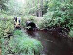Culvert Crossing, Wayne, Maine