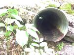Culvert Crossing, Bethel, Maine
