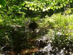 Multiple Culvert Crossing, Fayette, Maine