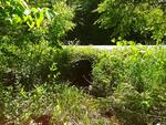 Multiple Culvert Crossing, Fayette, Maine