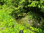 Multiple Culvert Crossing, Fayette, Maine
