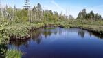 Culvert Crossing, T8 R5 WELS, Maine