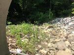 Culvert Crossing, Jay, Maine