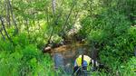 Culvert Crossing, Jay, Maine