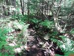 Multiple Culvert Crossing, Fayette, Maine