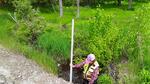 Culvert Crossing, Leeds, Maine