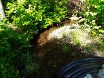 Culvert Crossing, Vienna, Maine