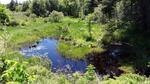 Culvert Crossing, Livermore Falls, Maine