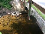 Bridge Crossing, Gilead, Maine
