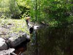 Culvert Crossing, Monmouth, Maine