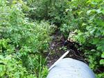 Culvert Crossing, Wade, Maine
